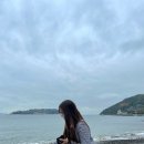 숲속마을파도소리 이미지