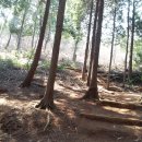 공지산 둘레길 이미지