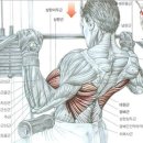 바디짐 휘트니스 클럽 이미지