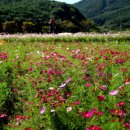 블루코랄펜션 이미지