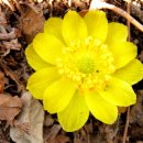 상구1리 이미지