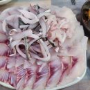 구포시장 남강횟집 이미지