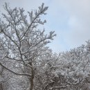 설산한의원 이미지