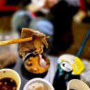 아일랜드 | 강원도 남이섬 트레킹온아일랜드 참여 후기