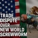 2025년 미국 소 산업(U.S. Beef Industry)을 뒤흔든 10대 뉴스 이미지