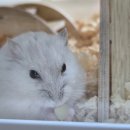 특별한 동물가게 이미지