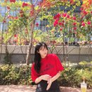 유하 이미지