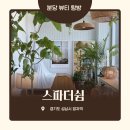 스파정자 | 경기도 분당 정자역 스파더쉼 로맨스커플 헤드스파 후기