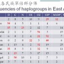 중국 한족 부계 하플로 구성에 대한 최신 자료 이미지