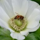 예원농장 이미지