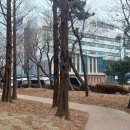 인천광역시의료원 | 인천 공무원 채용검진 인천광역시의료원 준비물 비용 소요시간