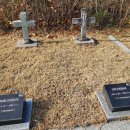 성누가약국 이미지