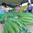 단구1리 이미지