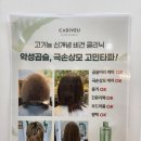 매천시장역 | [대구/매천동] 블랑헤어에서 복구 클리닉 하고 온 후기 - 고기능 신개념 비건 클리닉