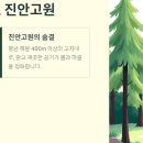 진안군백운면보건지소 | 국립진안고원산림치유원 예약 경쟁, 성공하는 꿀팁 대공개! (ft. AI 여행플래너)