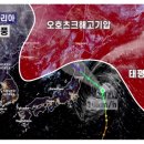 강진5호 이미지