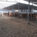 금곡농장 이미지