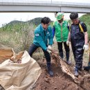 춘 - 군포시 산본로323번길 20-33 | 춘