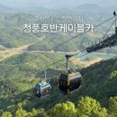 청풍 관광정보센터 | 제천 청풍호 케이블카 청풍호반케이블카 예약 주차 할인까지