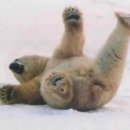 포포베이커리 이미지