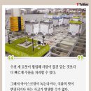 신선마트 이미지