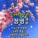 4월 4일 만보걸음 이미지