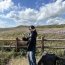 비올레띠 | 11월 &#39;제주 동쪽&#39; 여행 2박 3일