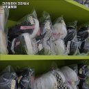 크린토피아코인워시청주