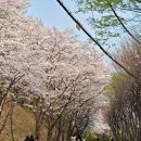 도구머리공원1-1 이미지