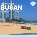 서구-01-50 | 송도해수욕장 물놀이 해수욕 주차장 대여 케이블카 샤워 파도 구름산책로 후기