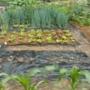 안고랑농장 이미지