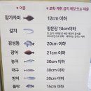 대한낚시마트 - 강릉시 경강로 2664 | 대한낚시마트