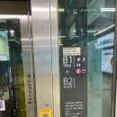 웰니스동물병원(롯데월드점) 이미지