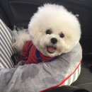 백중세차장 이미지