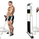 jkj 헬스 이미지