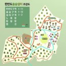한반도솔숲쉼터 네이버블로그