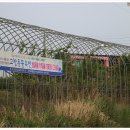 풍물장터경매 네이버블로그