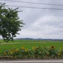 원나포보건진료소 이미지