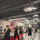 언더독 복싱 이미지