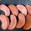 이례농장 이미지