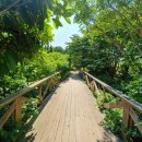 애견샵 어린왕자 이미지