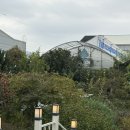 알베로 | [김해 대동 카페-알베로(ALBERO)] 식물원 카페 후기🌿