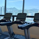더스윗 | 개금 여성전용24시간 헬스장 스윗피트니스 : 3개월 넘게 다닌 찐 헬스 후기