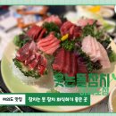 회는못참치