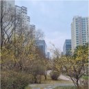 판교푸르지오공인중개사사무소 | 내게 맞는 판교푸르지오그랑블과 주변 단지, 어디부터 알아보기 좋을까?