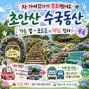 거제시 산림조합 | 차 가져갔다가 후회했어요 — 초안산 수국동산 가는 법·포토존 핵심 정리