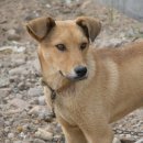 유봉농장 이미지