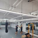 코리안탑팀강서