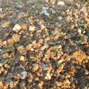 후겸농장 이미지