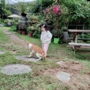 대청목장 이미지